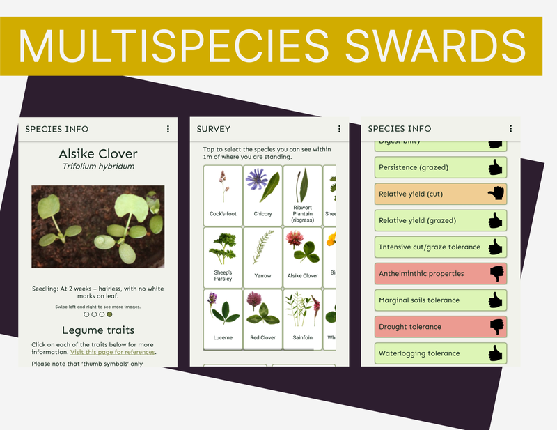 Three screenshots of a phone app, one showing Alsike clover photo, another showing lots of different species laid out as buttons, and another showing a list of species traits with thumbs up, down or neutral and different colours depending on how well the species does at each trait.