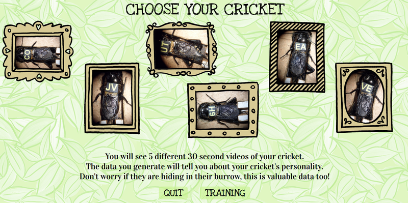 Screenshot of page for choosing your cricket, showing 5 photos of crickets in different styles of illustrated frames