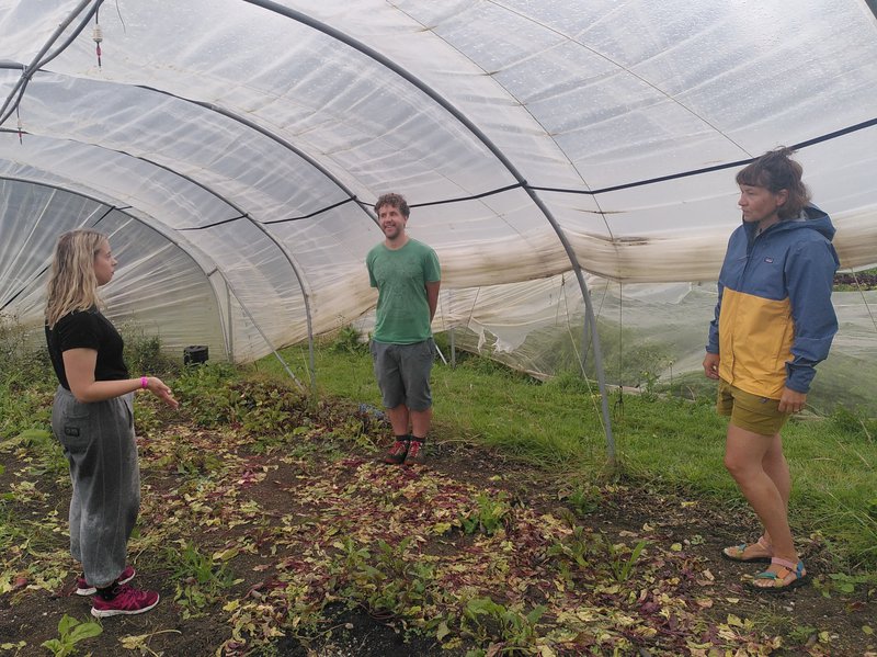 3 people standing in a polytunnel, hiding from the rain and chatting