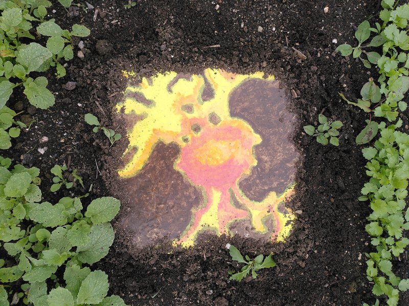 photo of a tile painted like bacterial growth, embedded in the soil between seedlings