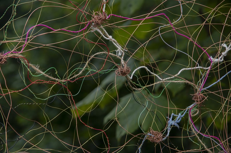 Photo of wires and string bound together in a network, against a blurred background of plants