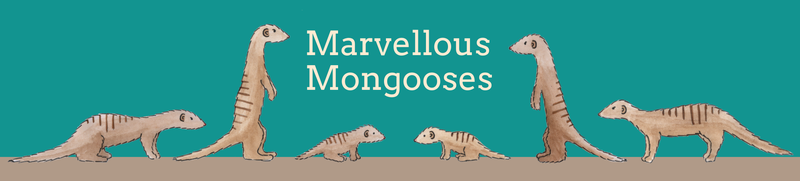Marvellous Mongoose banner.png