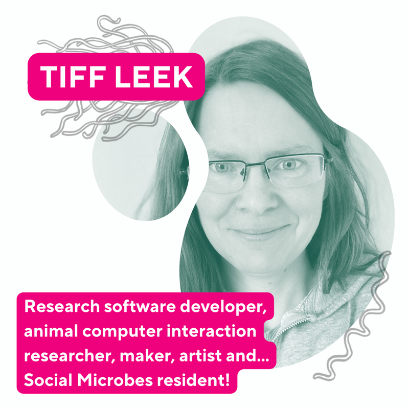 Photo of Tiff, with her name and text reading &#x27;Research software developer, animal computer interaction research, maker, artist, and... social microbes resident&#x27;. There are also two small sketched images of microbes.