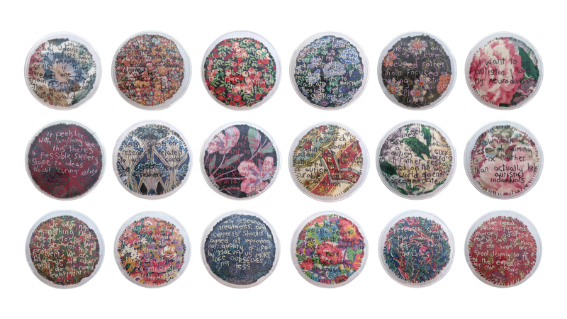 Photo of 18 petri dishes together