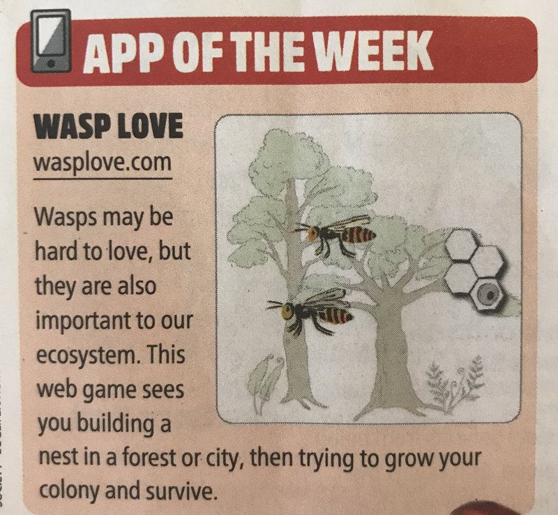 wasps in the week
